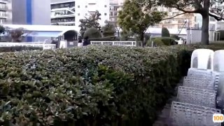 波多野结衣-cd2 性交クリニック ファン感謝祭 240分スペシャル